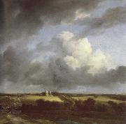 Jacob van Ruisdael View of the Ruins of Huis ter Kleef and Haarlem oil painting picture wholesale